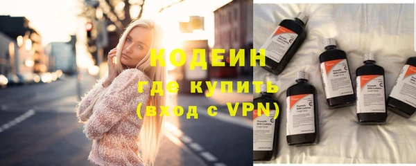 шишки Верхний Тагил