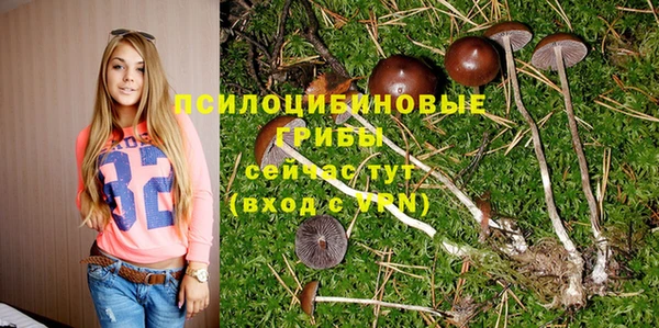 прущие крисы Володарск
