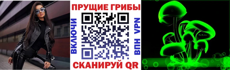 Псилоцибиновые грибы Psilocybe Купить закладки Макарьев
